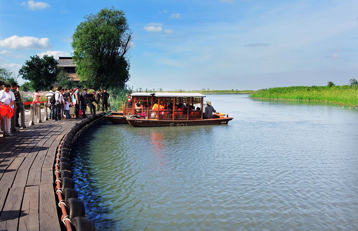 温州湾湿地图片